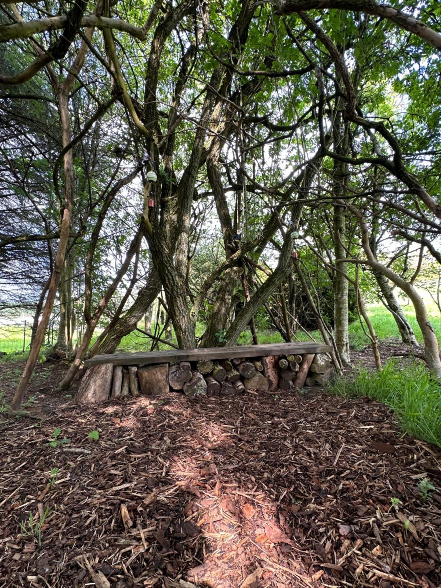 Awakening Alchemy Retreat Centre Acomodação com café da manhã Inverurie Exterior foto